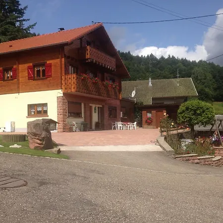 Gites Les Pins Et Les Bruyeres Wangenbourg-Engenthal Exterior foto