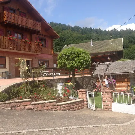 Gites Les Pins Et Les Bruyeres Wangenbourg-Engenthal Exterior foto