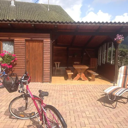 Gites Les Pins Et Les Bruyeres Wangenbourg-Engenthal Exterior foto