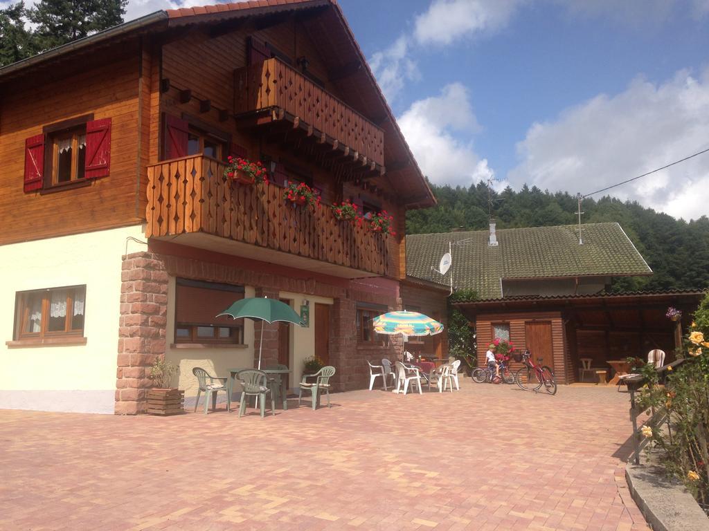 Apartment Les Pins Et Les Bruyeres